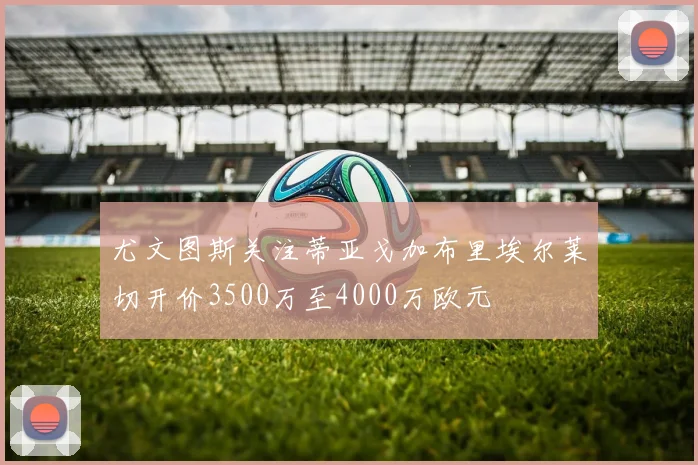 尤文图斯关注蒂亚戈加布里埃尔莱切开价3500万至4000万欧元